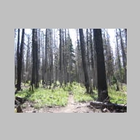 16July2014 VistaRidgeTrail 006.jpg